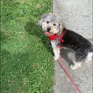 Meet your Posher, Alexandrea